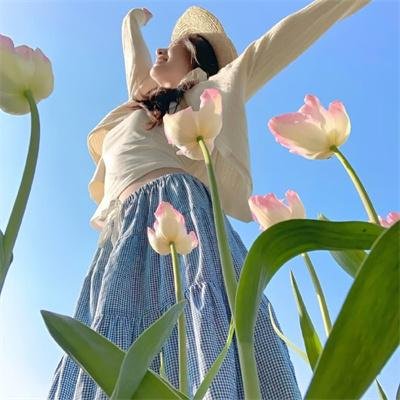 终结杉计划